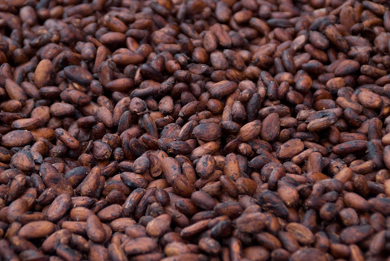 Rich dark cacao